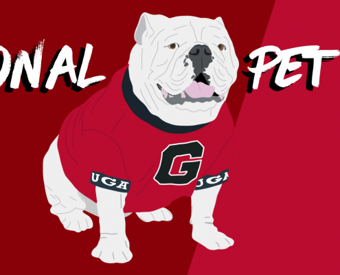 National Pet Day Header